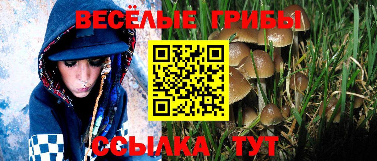 Псилоцибиновые грибы Psilocybe  Вход с VPN  Изобильный  Галлюциногенные грибы Cubensis 
